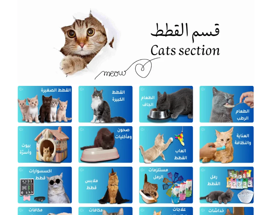 تصميم موقع سله